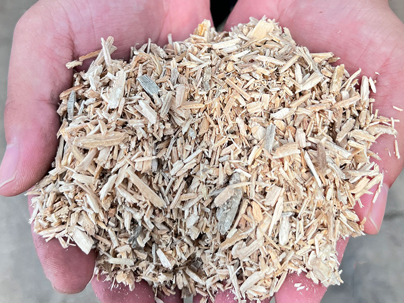 Wood Biomass