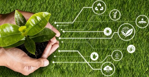 Carbon Emission Reduction