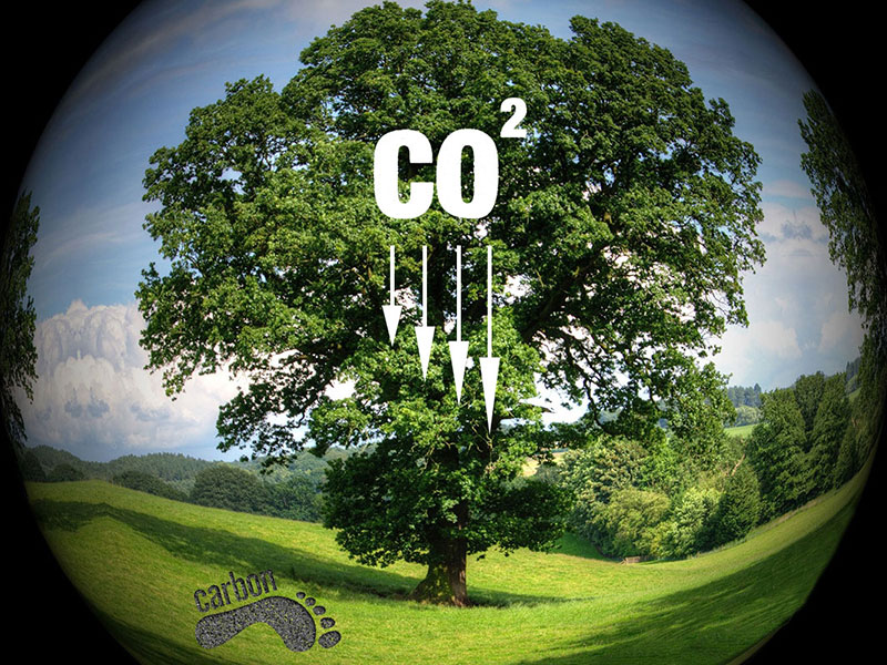Carbon Emission Reduction