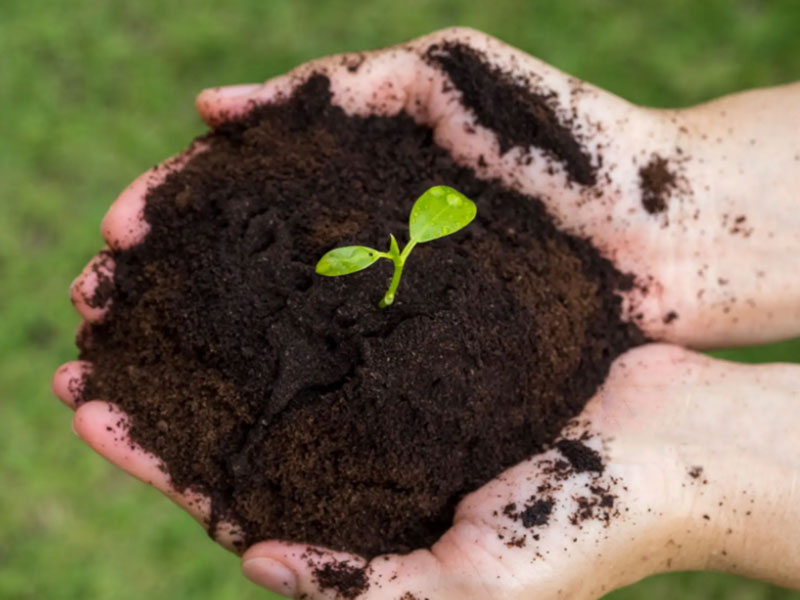 Coffee Grounds Charcoal