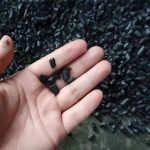 Biochar
