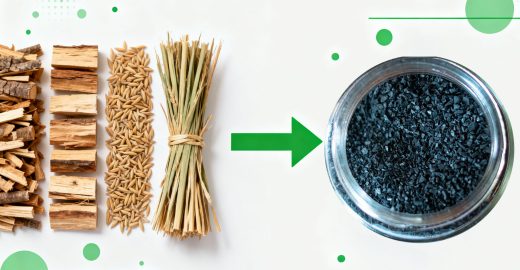 Biochar from Biomass and Waste