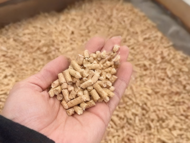 Biomass Pellet