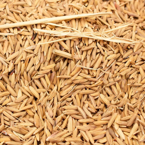 Rice Husks