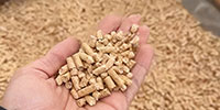Biomass
